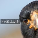 카모터스 이미지