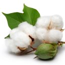 비엠케어 이미지