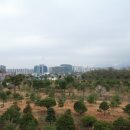 송한영의 소박사 정육점식당 이미지