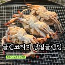 글램코티지 이미지