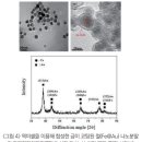 생명현상의 막과 다양한 형태의 나노구조 합성 이미지