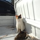 김녕관광지 이미지