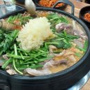 정드림흑염소 이미지