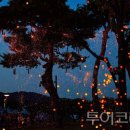 (주)세종드림투어 투어코리아