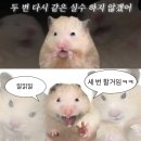 레드블렌 | 2025. 1. 20 월 - 1. 26 일