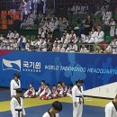 호원태권도체육관 이미지