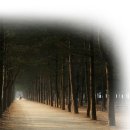 (주)예감창