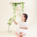 궁전사진관 - 용인시 처인구 포곡로 113 | 궁전사진관