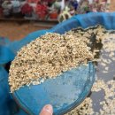 황소농장 이미지