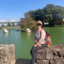 모슬포우체국 | 제주올레길11코스와12코스