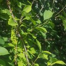 석진농장 이미지