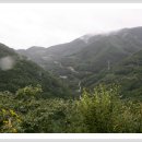 한치농장 이미지