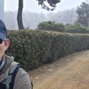 늠내길 1코스 숲길 Daum카페
