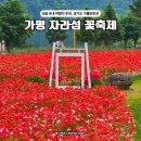 풍경예술인의무대의상 | 6월 국내 여행지 추천, 경기도 가평 가볼만한곳 자라섬 꽃축제 입장료