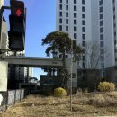 센트럴자이 | 고촌센트럴자이 입주청소 34평 후기