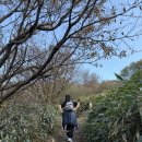 수만리탐방지원센터 공중화장실 | 11월 가을 무등산 단풍/억새구경(인왕봉까지)