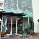 담양 치도 인생 퀘사디아 맛집 솔직후기