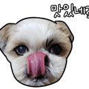 방주애견 네이버블로그