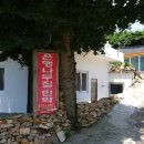 바다나무 민박 이미지