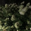 작동부동산공인중개사사무소 이미지