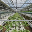 김기영농장 | [수료후기] 미래농업대학에서 생긴 일