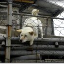 내앞마을 공중화장실 이미지