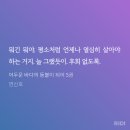 비채35 | [독서후기] 어두운 바다의 등불이 되어 - 연산호
