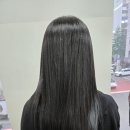 비비엔느 헤어살롱