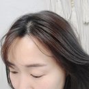돌콩헤어 이미지