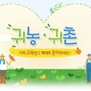 딸기 스토리 이미지