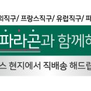 파모어 이미지