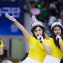 용인실내체육관 이미지