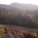 제천공인중개사사무소 이미지