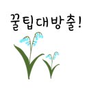 복고다방시흥시청점