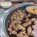 탐라우돈 이미지