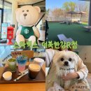 1098 | 서울 근교 드라이브 코스 남양주 북한강 애견동반 카페 스타벅스 R점 리저브 메뉴