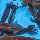 풍성수산 이미지