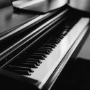 하하프 콘서트 이미지