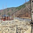 진밭1교 이미지
