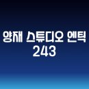 엔틱243