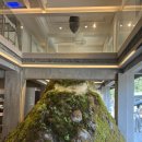 도림이 | 서촌 카페 추천! &#39;이도림&#39; 인왕산 뷰 카페 후기