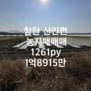 이창엽공인중개사사무소 이미지