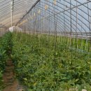 덕촌농장 이미지