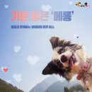 기분이당 이미지