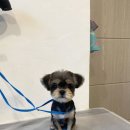 홍글몽글 이미지