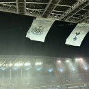 뉴캐슬고릴라 이미지