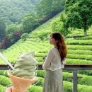 보성녹돈전문식당 네이버블로그