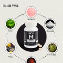 리치엠 이미지