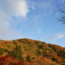 단풍 - 관악구 신림동길 25 | 단풍