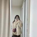 그레이박스(GRAY BOX) | 오피쉬: 플러피 믹스 퍼 자켓 라이트그레이 후기(내돈내산 겨울 퍼자켓 추천/FLUFFY MIX FUR JACKET)